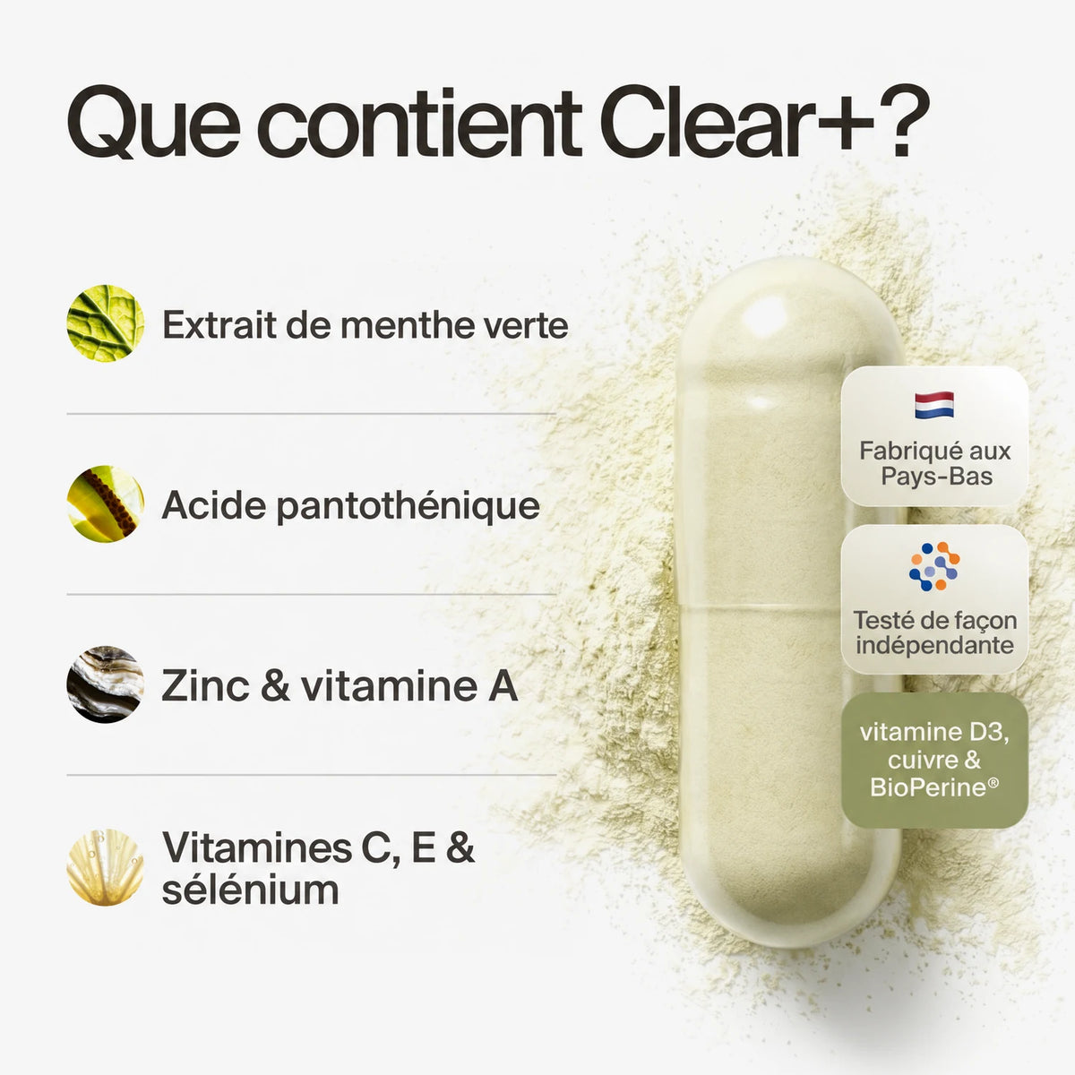 clearday gallery (fr)