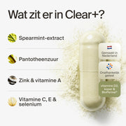 clearday gallery (nl)