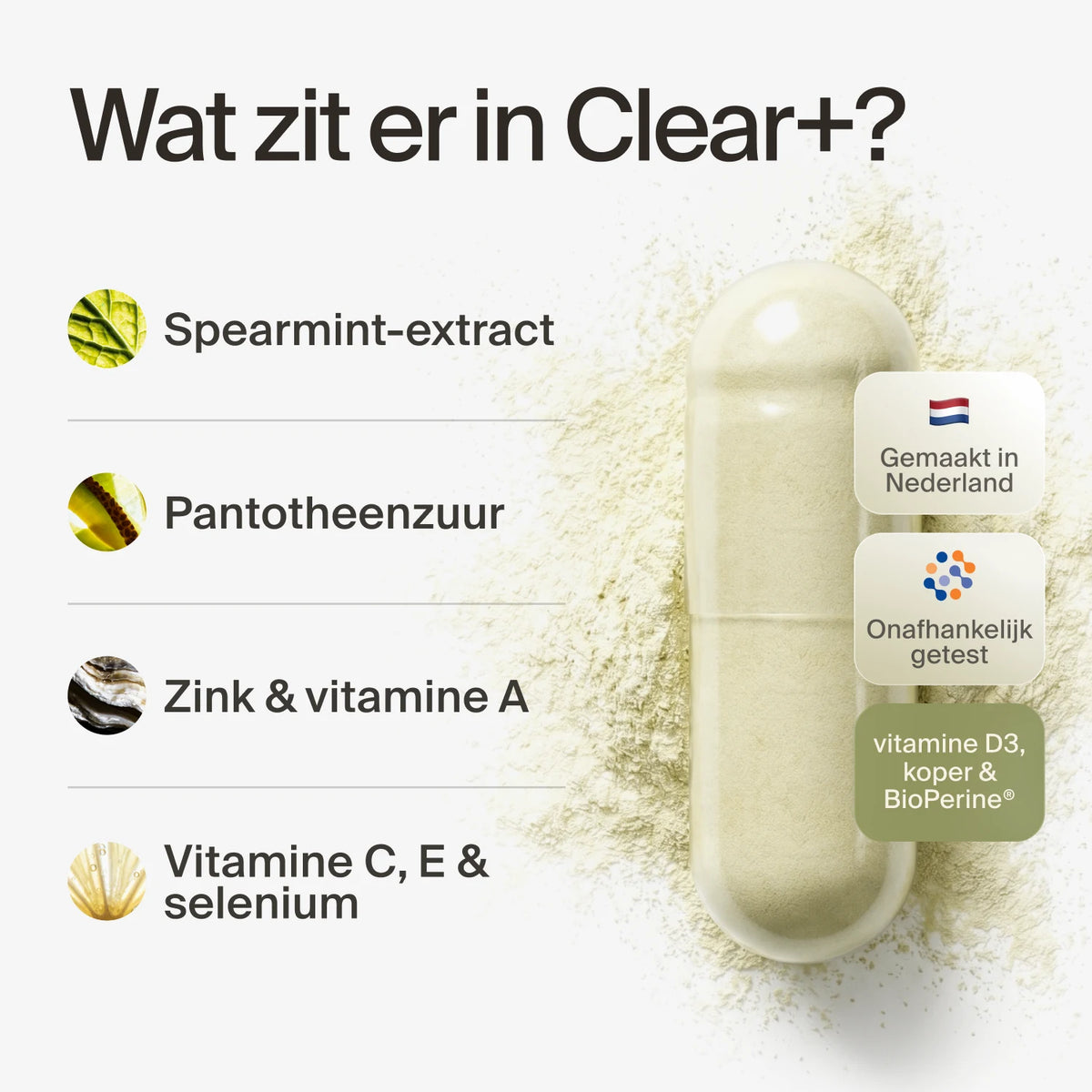 clearday gallery (nl)