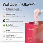 glow gallery (nl)